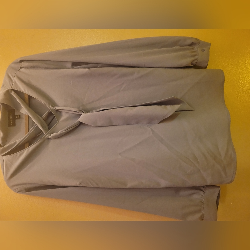 Gray/Blue long sleeve dress shirt with ties.